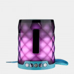 Portativ simsiz dinamik TG 155, orqa yorug'lik bilan